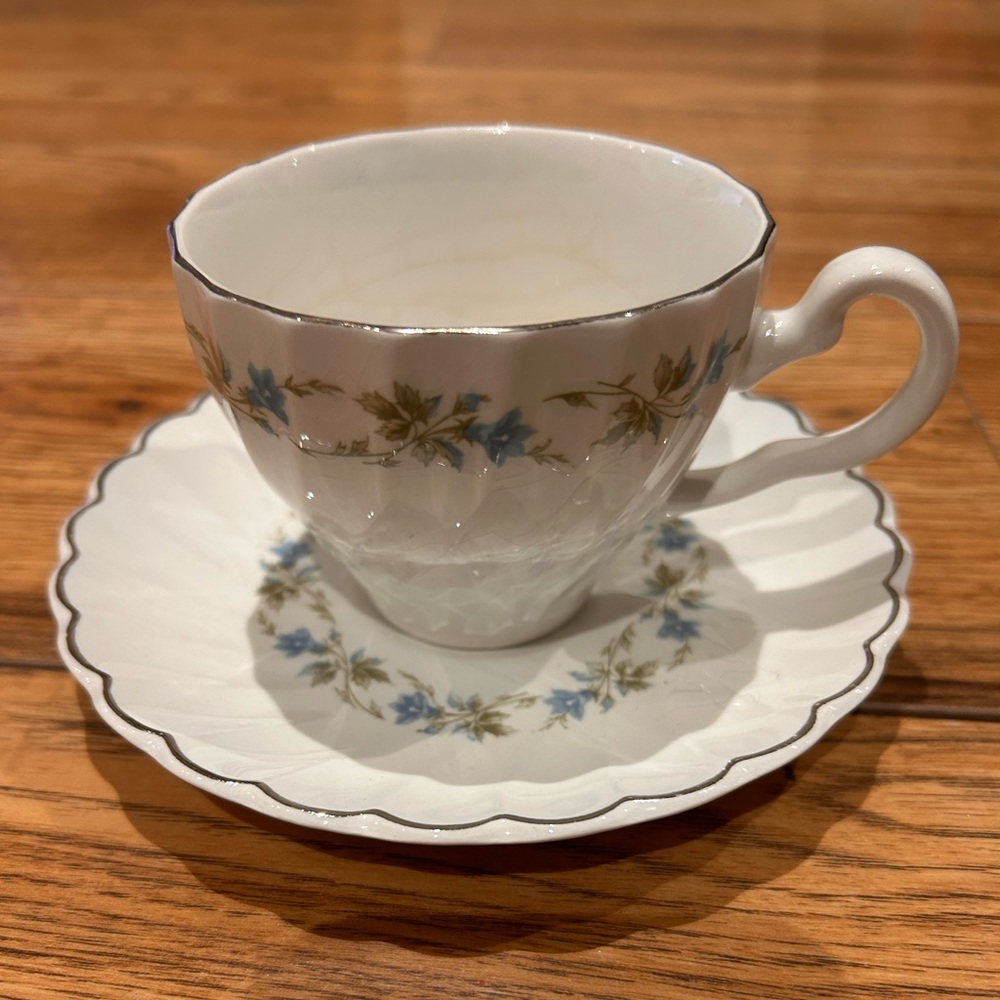 Teacup and Saucer by Johnson Bros Made in England Ironstone
